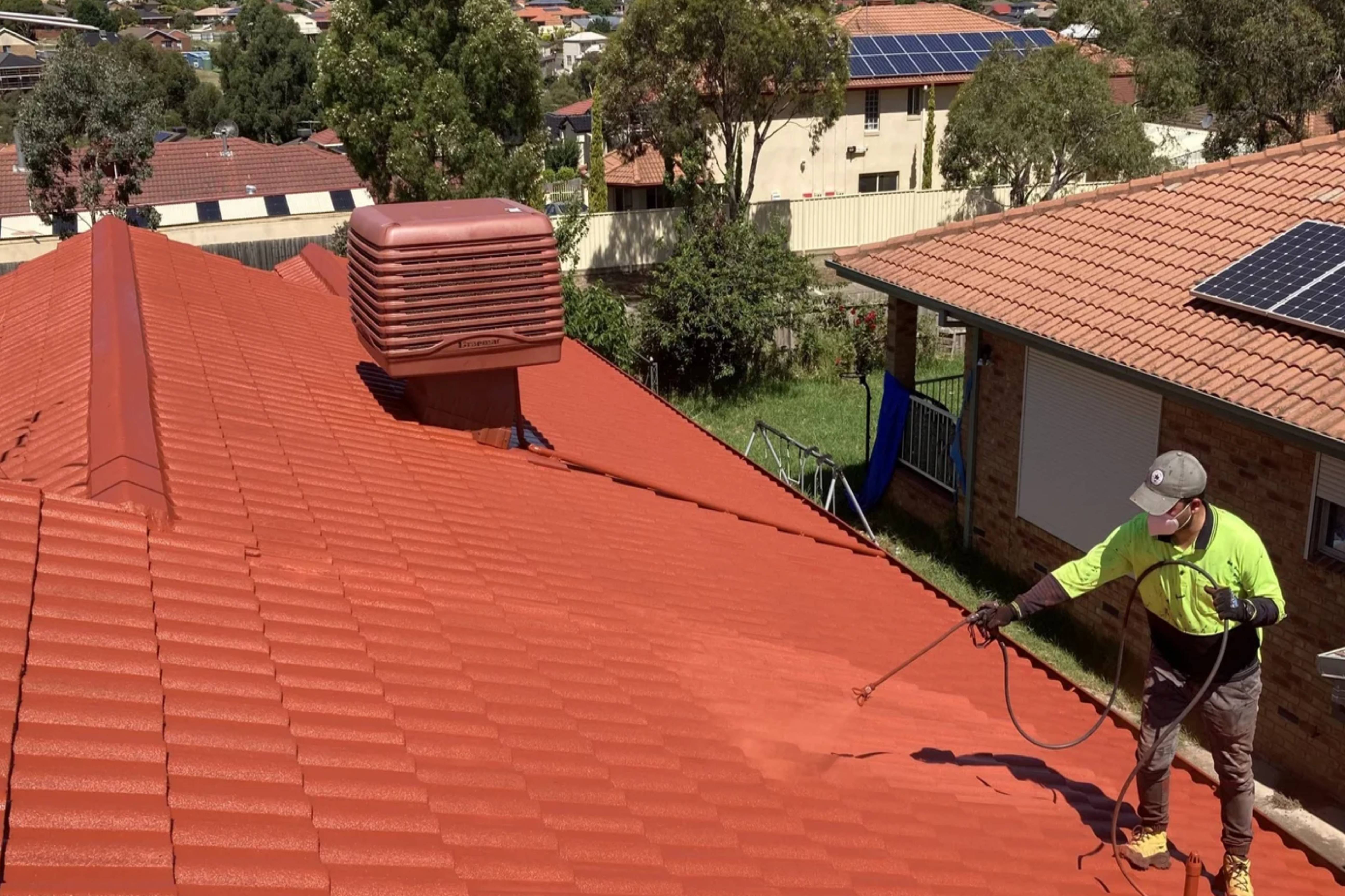 roof_cleaning (2)